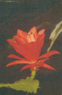FLOWERS Vintage Ansichtskarte Postkarte CPA #PKE533.DE - Flowers
