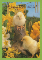 OSTERN HUHN EI Vintage Ansichtskarte Postkarte CPSM #PBO645.DE - Easter