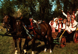 CPM - ATTELAGE De CHEVAUX - Folklore POLONAIS KRAKOWSKI  ... - Pferde