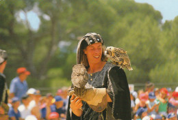 4 Cpm Les Aigles De Beaucaire   Gard - Beaucaire