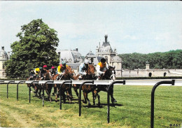 CHANTILLY - Course Hippique - Hípica