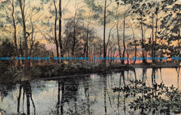 R127042 Old Postcard. Lake In The Woods. 1904 - World