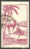 XW01-2555 Maroc Gazelles Antilope Antelope - Used Stamps