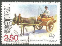 XW01-2449 Portugal Water Cart Charette Eau Ane Donkey Esel Asino Mule - Horses