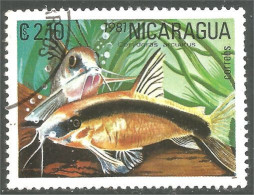 XW01-2408 Nicaragua Poisson Fish Fisch Pesce Pescado Peixe Vis - Fishes