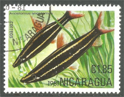 XW01-2406 Nicaragua Poisson Fish Fisch Pesce Pescado Peixe Vis - Peces