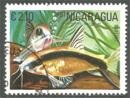 XW01-2410 Nicaragua Poisson Fish Fisch Pesce Pescado Peixe Vis - Vissen