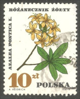 XW01-2390 Poland Fleur Flower Blume Azalèe Azalea - Andere & Zonder Classificatie