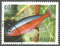 XW01-2405 Nicaragua Poisson Fish Fisch Pesce Pescado Peixe Vis - Vissen