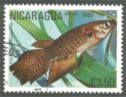 XW01-2401 Nicaragua Poisson Fish Fisch Pesce Pescado Peixe Vis - Peces