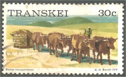 XW01-2358 Transkei Vache Boeuf Cow Ox Oxen Kuh Koe Vacca Vaca - Kühe