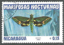 XW01-2343 Nicaragua Nuit Night Papillon Butterfly Butterflies Farfalla Mariposa Schmetterling Vlinder - Farfalle