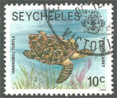 XW01-2348 Seychelles Tortue Tortuga Turtle Schildkröte Tartaruga - Tortugas