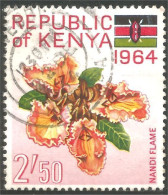 XW01-2321 Kenya Nandi Flame Fleur Flower Arbre Tree Baum Blume - Autres & Non Classés