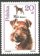 XW01-2314 Pologne Chien Dog Hund Perro Cane MNH ** Neuf SC - Chiens