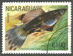 XW01-2303 Nicaragua Poisson Fish Fisch Pesce Pescado Peixe Vis - Fishes