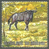 XW01-2277 Burundi Antilope Antelope Gnou Wildebeast - Autres & Non Classés