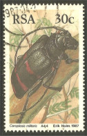 XW01-2175 RSA South Africa Insecte Insect Coleopter Scarabée Beetle Insekt Ceroplesis - Sonstige & Ohne Zuordnung