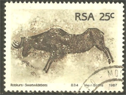 XW01-2160 RSA South Africa Petroglyphs Wild Wildebeest Gnou Peinture Gravure Rupestre Wall Engraving Painting - Sonstige & Ohne Zuordnung