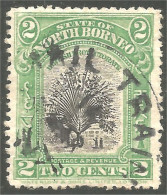 XW01-2121 North Borneo Mail Train Cancel On Palm Tree Arbre Palmier - Trenes