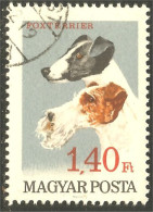 XW01-2087 Hongrie Chien Dog Hund Perro Cane Fox Terrier - Chiens