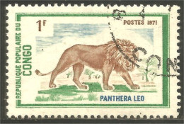 XW01-2085 Congo Panthère Panther Félin Feline - Raubkatzen