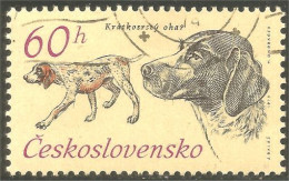 XW01-2089 Ceskoslovensko Chien Dog Hund Perro Cane - Dogs