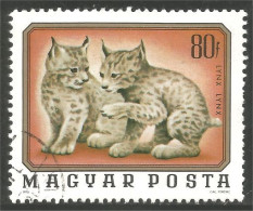 XW01-2068 Hongrie Lynx Félin Feline - Big Cats (cats Of Prey)