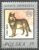 XW01-2057 Poland Loup Lupo Lobo Wolf Wulf - Hunde