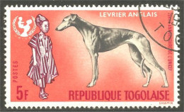 XW01-2019 Togo Chien Dog Hund Perro Cane 5F Lévrier Anglais English Greyhound - Honden