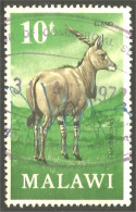 XW01-2013 Malawi Eland Antelope Antilope Gazelle - Malawi (1964-...)