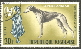 XW01-2017 Togo Chien Dog Hund Perro Cane 30F Lévrier Anglais English Greyhound - Honden