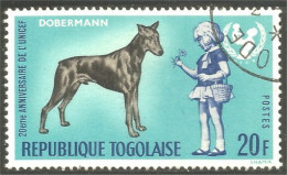 XW01-2020 Togo Chien Dog Hund Perro Cane Doberman Dobermann - Chiens