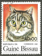 XW01-2977 Guiné Bissau Chat Cat Katze Gatto Gato Kat - Katten