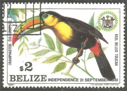 XW01-2990 Belize Toucan Oiseau Bird Uccello Vogel - Autres & Non Classés