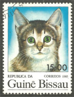 XW01-2975 Guiné Bissau Chat Cat Katze Gatto Gato Kat - Domestic Cats
