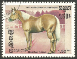 XW01-2926 Cambodia Quater Horse Cheval Horse Pferd Paard Caballo Cavallo - Cavalli