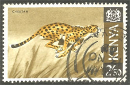 XW01-2929 Kenya Guépard Cheetah Gepard Gepardo Félin Feline - Felinos