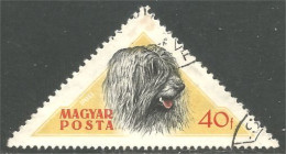 XW01-2918 Hongrie Chien Dog Hund Cane Hond Perro - Chiens