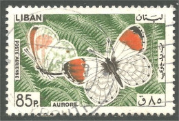 XW01-2911 Liban Papillon Butterfly Butterflies Farfalla Mariposa Schmetterling Vlinder - Butterflies