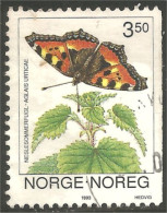 XW01-2884 Norway Papillon Butterfly Butterflies Farfalla Mariposa Schmetterling Vlinder - Farfalle