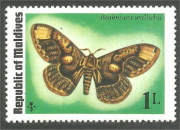 XW01-2902 Maldives Papillon Butterfly Butterflies Farfalla Mariposa Schmetterling Vlinder MNH ** Neuf SC - Vlinders