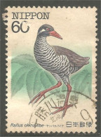 XW01-2878 Japon Oiseau Bird Vogel Uccello Rallus - Autres & Non Classés