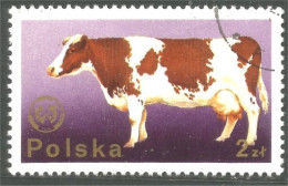 XW01-2871 Poland Vache Cow Vaca Kuh Koe Mucca Vacca - Mucche