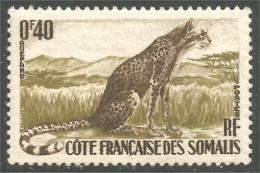 XW01-2804 Cote Des Somalis Guépard Gepard Ghepardo Guepardo Cheetah Sans Gomme - Usati