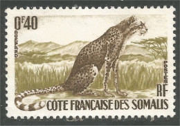 XW01-2805 Cote Des Somalis Guépard Gepard Ghepardo Guepardo Cheetah Sans Gomme - Sonstige & Ohne Zuordnung