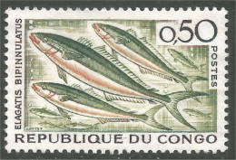 XW01-2788 Congo Poisson Fish Fisch Pesce Pescado Peixe Vis Sans Gomme - Nuevas/fijasellos