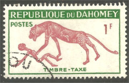 XW01-2755 Dahomey Guépard Gepard Gepardo Cheetah - Félins