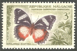 XW01-2739 Madagascar Papillon Butterfly Butterflies Farfalla Mariposa Schmetterling Vlinder Sans Gomme - Butterflies