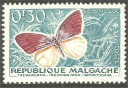 XW01-2738 Madagascar Papillon Butterfly Butterflies Farfalla Mariposa Schmetterling Vlinder Sans Gomme - Vlinders